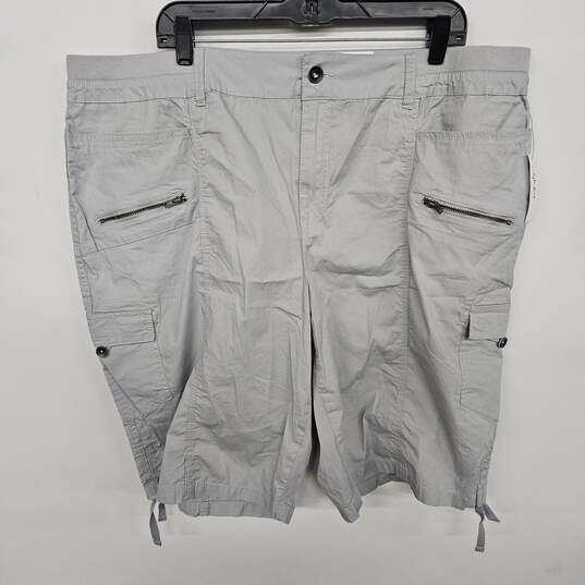 Style & Co Gray Cargo Pants image number 1