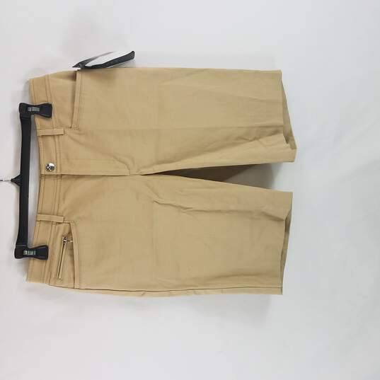 Buy the Lauren Ralph Lauren Women Brown Activewear Shorts S 6 NWT |  GoodwillFinds