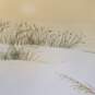 White Sands Limited Edition Vintage Lithograph / Signed image number 7