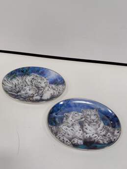 Bundle of 4 Bradex Wild Hearts White Tigers Collectable Plates alternative image