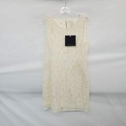 Mcginn Ivory Lined Lace Sleeveless Sheath Dress WM Size 6 NWT