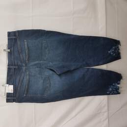 NWT Signature Fit Girlfriend Straight High-Rise Blue Jeans Size 22 alternative image