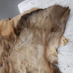 Large Piece of Deer Fur Pelt alternative image