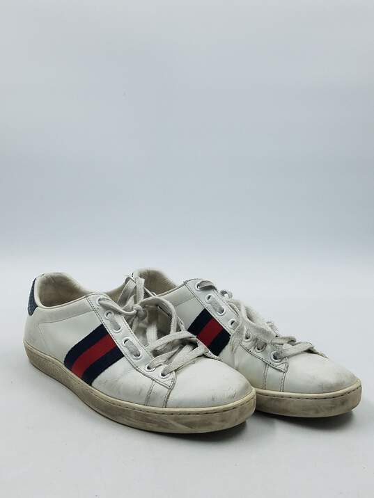 Authentic Gucci Navy Ace Sneaker W 6.5 image number 3