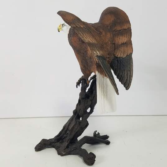 Royal Worcester Birds of Prey Limited Edition Figurine image number 7