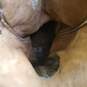 Gran Lider Croc Embossed Leather Western Cowboy Boots Men's Size 6.5 M image number 8