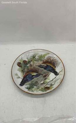 Corsican Nuthatch Decorative Plate