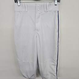 Wire 2 Wire Baseball Pants