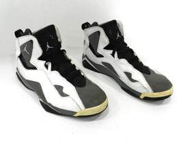 Jordan True Flight White Light Grey Men's Shoes Size 12 alternative image