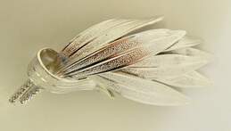 Vintage Coro Pegasus Silver Tone Brushed Leaf Brooch 19.7g