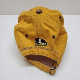 Signed Donald J Pliner Adjustable Strap Hat No COA alternative image