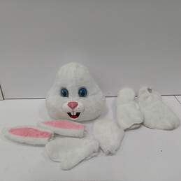 Easter Bunny Costume alternative image