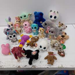 Assorted 24 TY Plushes