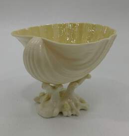 Vintage Belleen Cardium Shell ON Coral Compote Dish