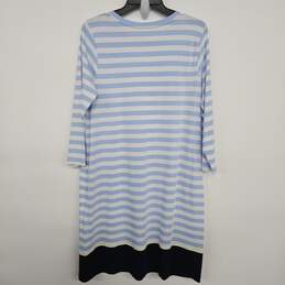 Blue White Striped Long Sleeve Dress With Pockets alternative image