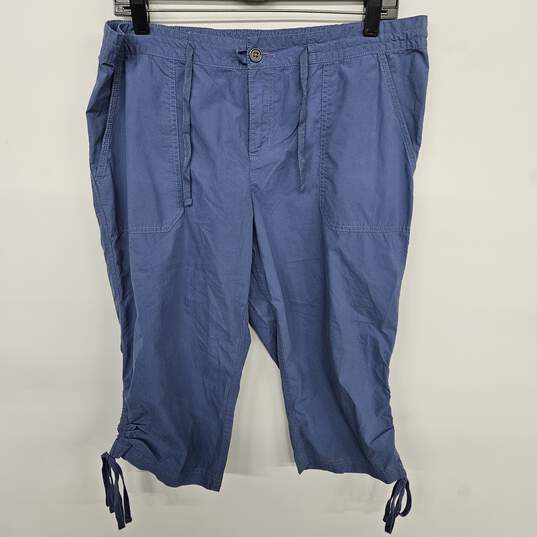 Columbia Blue Capri Pants image number 1