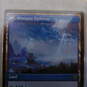 Magic The Gathering MTG Hengegate Pathway Rare Card image number 3