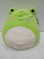 Wendy the Frog Plush Toy image number 1