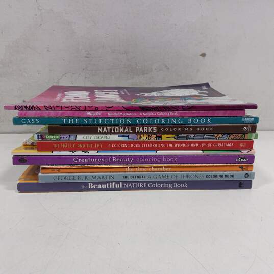 Bundle of 12 Assorted Adult Coloring Books image number 3