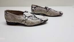 AGL Snake Print Women's Loafers - Size 5
