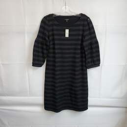 Talbots Black & Metallic Silver Striped Cotton Blend Dress WM Size MP NWT