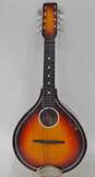 VNTGS Unbranded Wooden 8-String A Style Mandolin image number 1