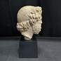 Vintage Alva Museum Replica Head of Asklepios Sculpture image number 4