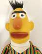 Vintage 70's Sesame Street Bert Hand Puppet Toy image number 2