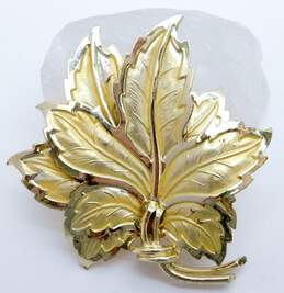 Vintage Coro Gold Tone Statement Double Maple Leaf Brooch