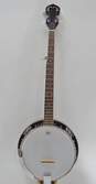R. W. Jameson 5-String Closed-Back Banjo (Parts and Repair) image number 1