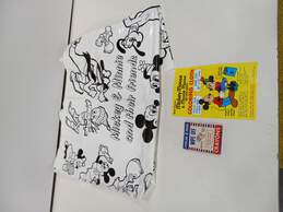 Mickey Mouse & Minnie Mouse Coloring Cloth Set