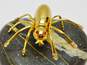 Vintage Coro Pegasus Icy Rhinestone & Gold Tone Spider Insect Brooch 8.7g image number 1