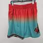 Vancouver Grizzlies Mitchell & Ness 1996/97 Hardwood Classics Fadeaway Shorts image number 1