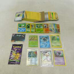 Pokemon TCG Huge 200+ Card Collection Lot Including Vintage and Holofoils