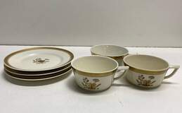 Royal Copenhagen Porcelain Tea Cup and Saucer Fine China 3 pc Set