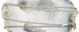 Tiffany & Co 925 Elsa Peretti Link Chain Necklace alternative image