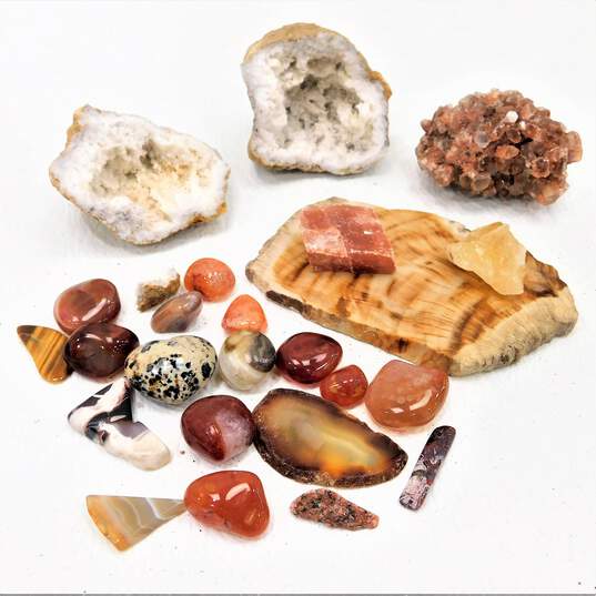 Assorted Lot Of Crystals Stones Geodes Petrified Wood Agate Slice image number 1