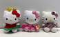 Ty Beanie Babies Hello Kitty Bundle Lot Of 17 With Tags image number 4