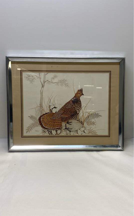 Nature Illustration Print of Ruffed Grouse by Frank Massa image number 1