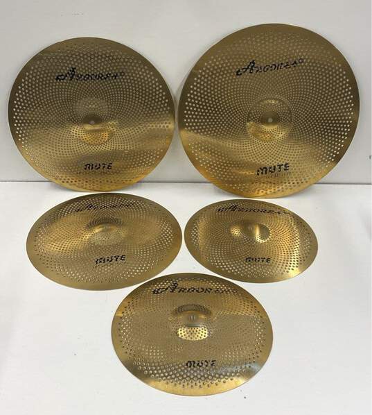 Arborea Mute Cymbals Set image number 1