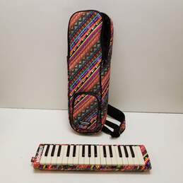 Multicolor Hohner Airboard With Matching Bag