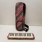 Multicolor Hohner Airboard With Matching Bag image number 1