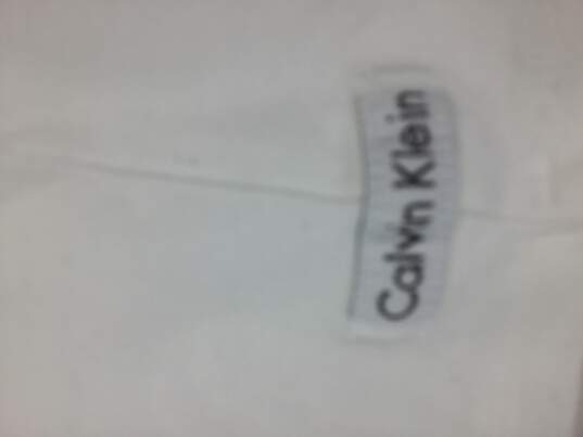 Calvin Klein Men Short Sleeve V-Neck XL White image number 3