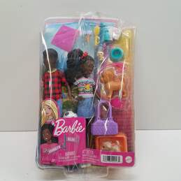 Mattel HDF76 Barbie It Takes Two Doll Set