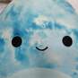 Bundle of 4 Assorted Squishmallow Plush Toys image number 5