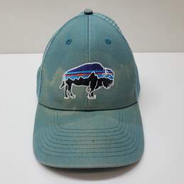 Patagonia Buffalo Bison Patch Sunset Mountain Live Simply Clean Trucker Hat