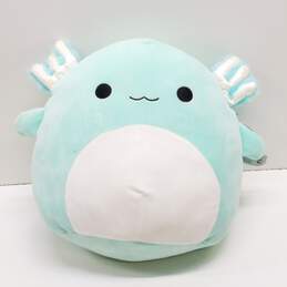 Anastasia The Axolotl 12 inch Squishmallow with Tag