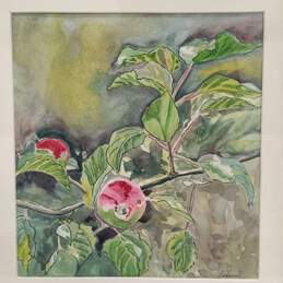 Framed And Signed Watercolor Painting of Leaves By Benson alternative image