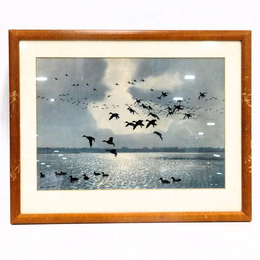 Artist Peter Scott Ducks Flying & On Water Vintage Art Prints Set of 4 image number 6