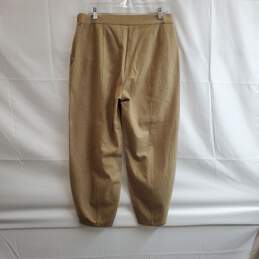 Eileen Fisher Soft Wool Pants Sz M